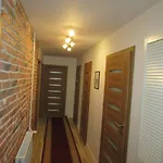 Homestay Camelia