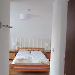 Camelia Homestay *