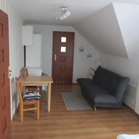 Camelia * Władysławowo