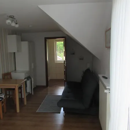 Camelia * Władysławowo