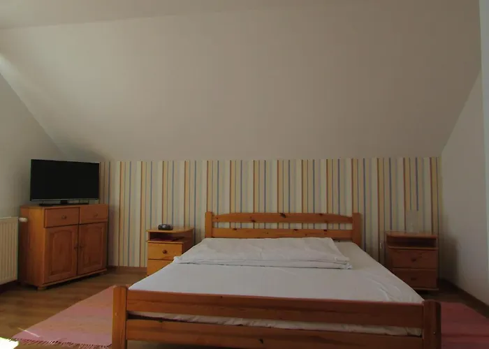 Camelia Władysławowo