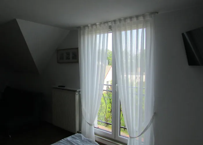 Camelia * Władysławowo