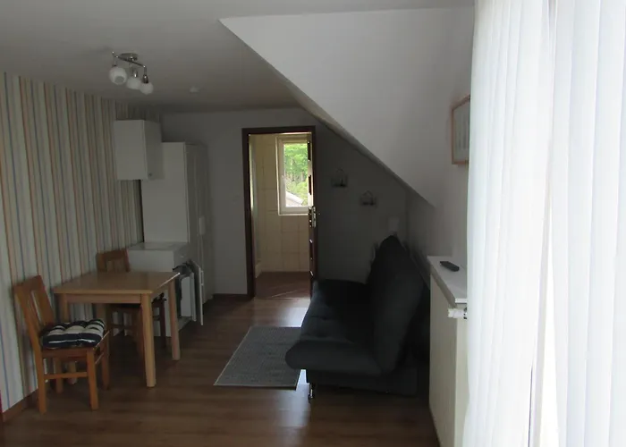 Camelia * Władysławowo