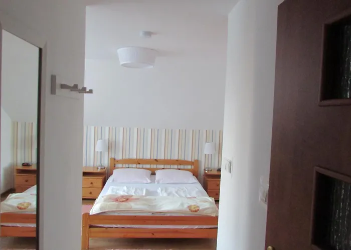 Camelia 홈스테이 *