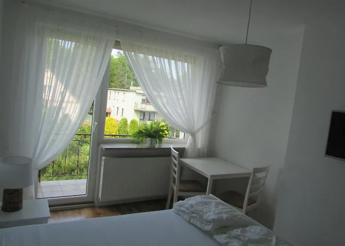 Camelia * Władysławowo